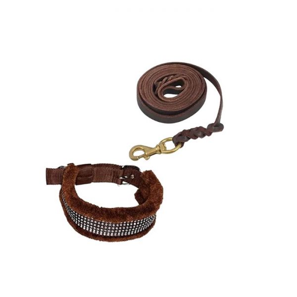 Waago Brown Leather Leash With Brown Fur Collar For dog- Medium