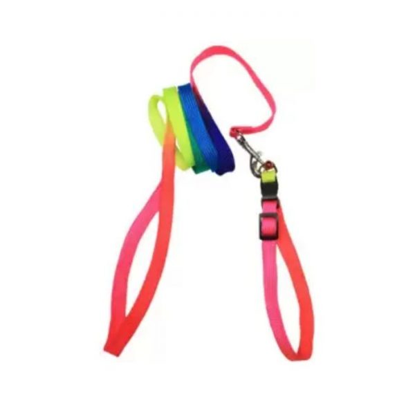 Bon Chien Nylon Multicolor Collar for Small and Medium Dog -10 Mm