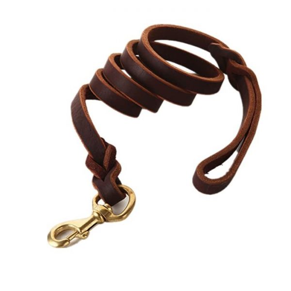 Waago Brown Leather Leash With Brown Fur Collar For dog- Medium