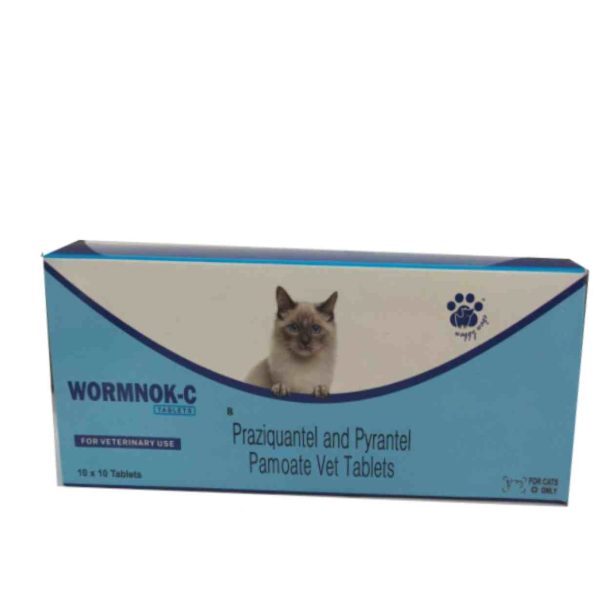 Waggy Wags Wormnok-C for Cats (10 x 10 ) Tablets