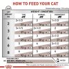 Royal Canin Gastro Intestinal Wet Cat Food, 85gm