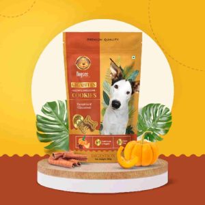 Dogsee Gigabites- Pumpkin and Cinnamon Cookies for Dogs