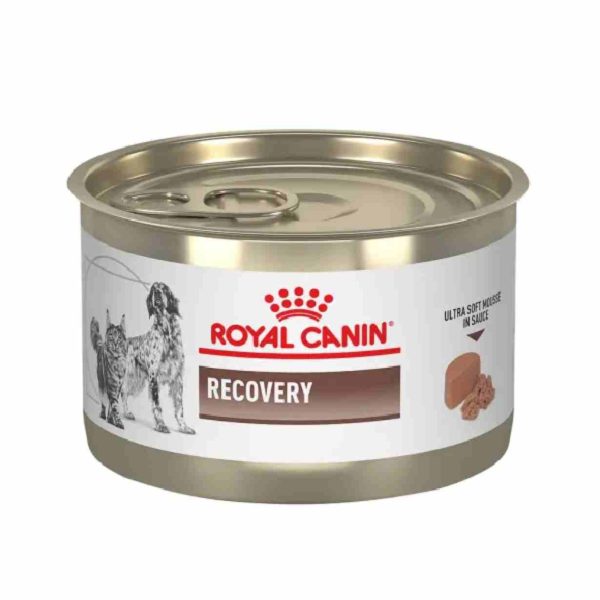 Royal Canin Recovery Can Adult Pet Wet Food, 195 gm