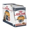 Royal Canin Care Intense Beauty Wet Cat Food, 85gm (Pack of 6)