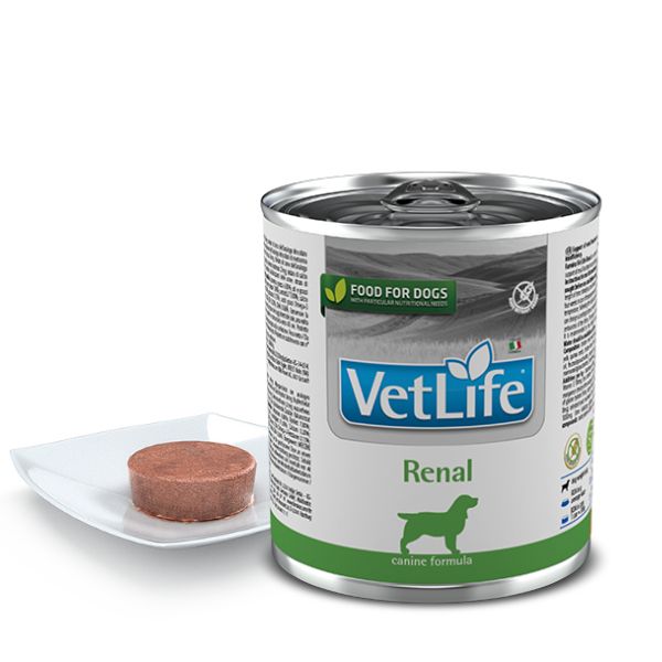 Farmina Vet Life Renal Dog Wet Food 300 Gm