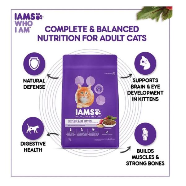 IAMS Cat Mother & Kitten Food With Chicken, 1 kg