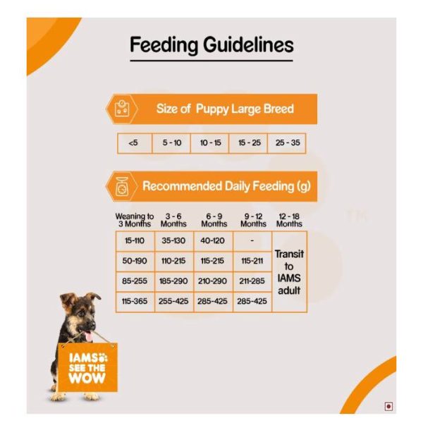 IAMS Puppy Large Breed Dry Food (<1.5 Years) Chicken Flavor, 8 kg