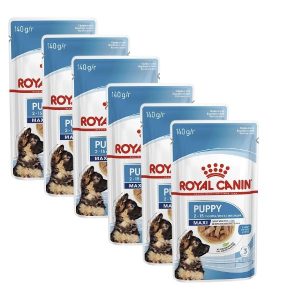 Royal Canin Instinctive Gravy Salsa Wet Cat Food, 85gm (Buy 5 Get 1 Fre)