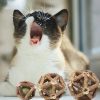 Pet Paw Interactive Wooden Ball  Toy For Cat