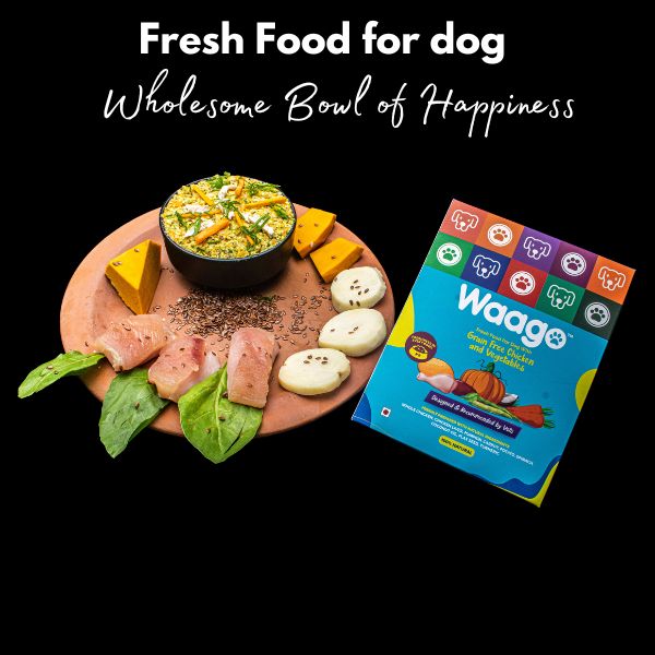 Waago Grain Free Chicken and Vegetables Fresh Food for all Breed Dog 300gm x 5 pack