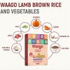 Waago Fresh Food for all Breed Trial Pack With 4 Recipes x 300gm ( Pack of 4)