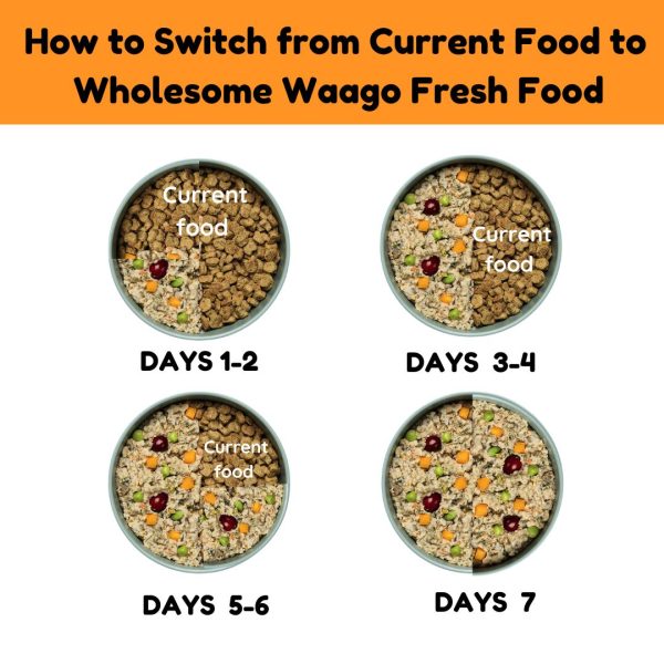 Waago Fresh Food for all Breed Weekly Plan With 4 Recipes (Pack of 20 x 300gm)