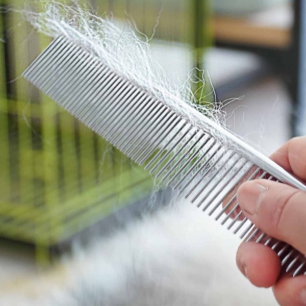 Bon Chien Stainless Steel Hair Grooming Flat Comb for Dogs 8inch