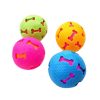 Bon Chien Rubber Case Ball for Dogs Multicolor