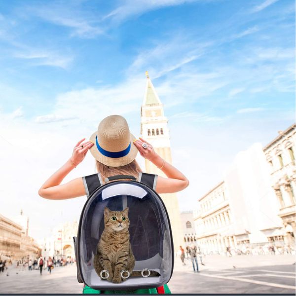 Pet Paw Backpack Carrier Bubble Carrying Bag for Cat