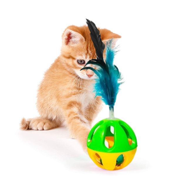 Pet Paw Fun Ball with Feather Toy for cat