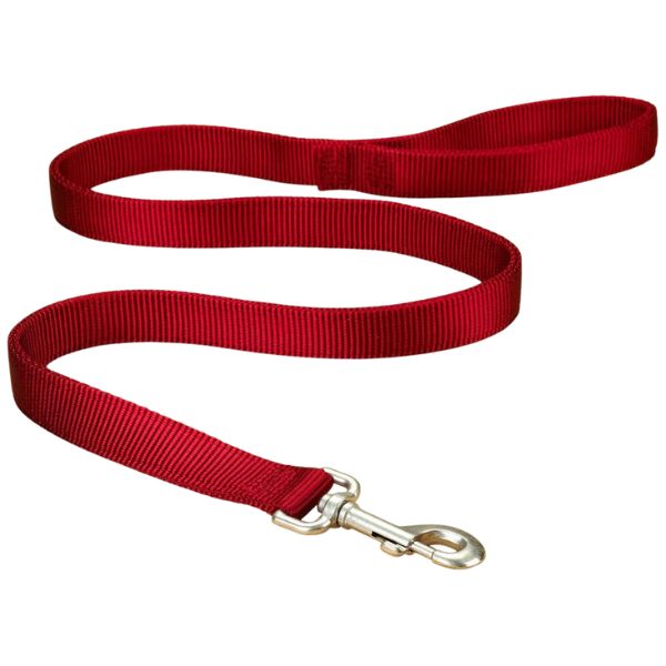 Buy Bon Chien Double Thick Nylon Leash for Dog 1inch Online - MyPetz