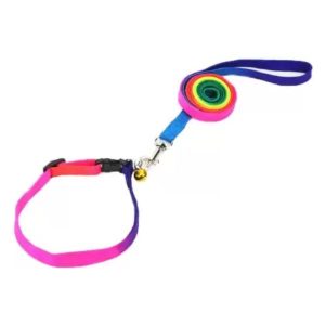 Bon Chien Adjustable Rainbow Coller And Leash Set for puppy 10mm