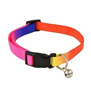 Pet Paw Rainbow Collar for Dog and Cat 10mm