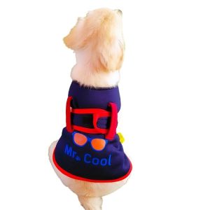 Bon Chien Winter Coat For Dog  No 16 Small