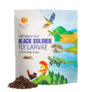 Georgic Black Soldier Fly Larvae for Pets, Fish, Reptiles and Birds – High Protein Chicken Feed, Bird Food with Calcium 1.5 lb 680gm