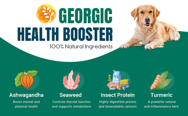 Georgic Health Booster For Dog 300gm