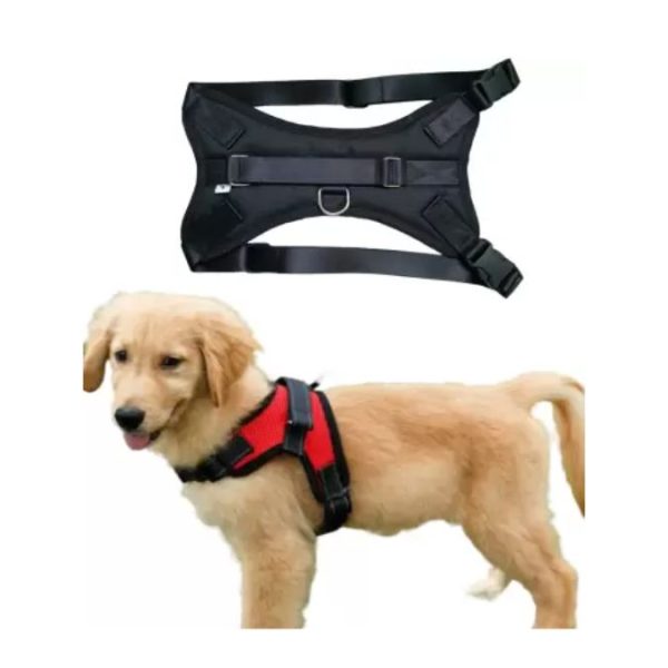 Bon Chien Adjustable Star Body Harness For Dog  Large